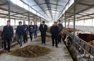 省农牧厅调研组来清水开展畜牧业生产形势工作调研(图)